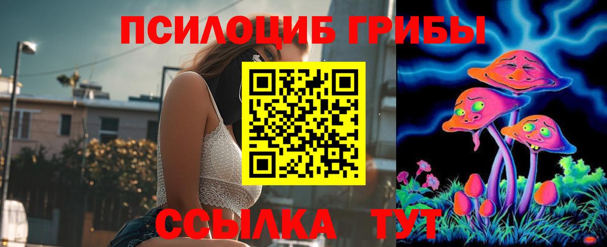 Псилоцибиновые грибы MAGIC MUSHROOMS  Вход с VPN  Каменск-Шахтинский  Галлюциногенные грибы мухоморы 